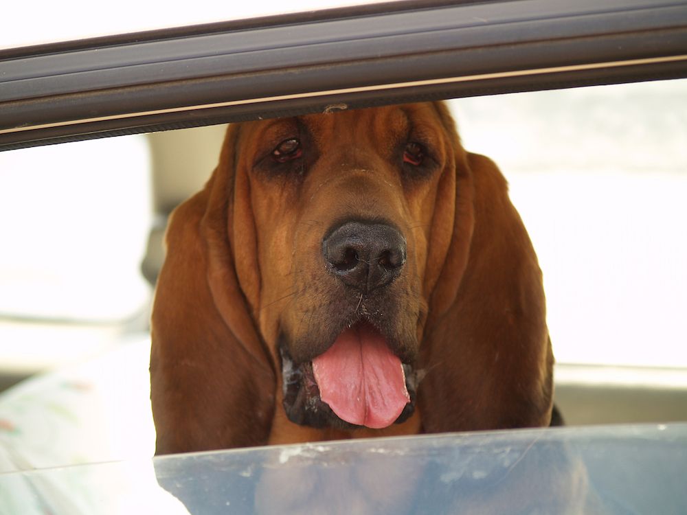 Editorial: May 9, 2025